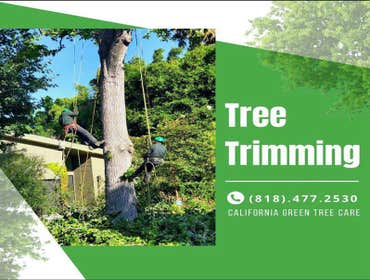 Photos by California Green Tree Care #1