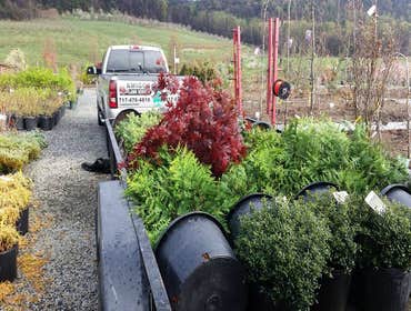 Photos by Amigos Lawn Care & Tree Service #1