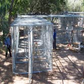 Nm Bear watch 9-23-11