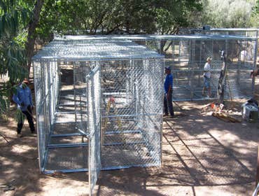 Nm Bear watch 9-23-11