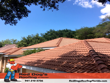 Photos by Red dog's Roofing of Florida #1