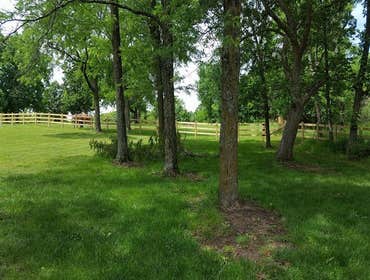 Fences