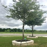 Photos by Atx Blue Star Tree Service #1