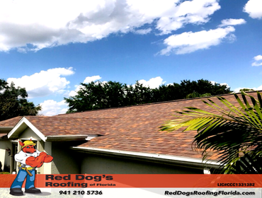 Photos by Red dog's Roofing of Florida #1