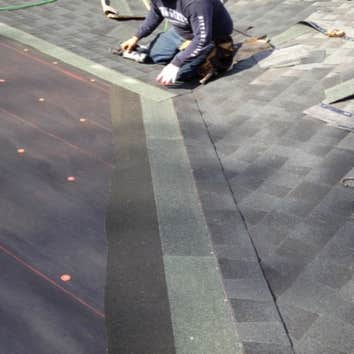 Roof, gutters, and skylights