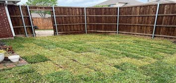 Plano Landscaping