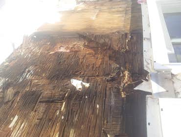 Dry Rot