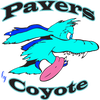 Pavers by Coyote, Inc logo