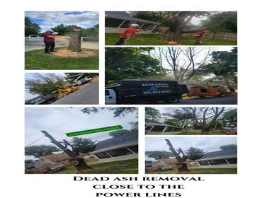 Photos by Guacamaya Tree Service & Lawncare Inc #7