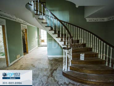 Photos by Fdp Mold Remediation of Bowie #2