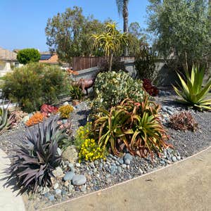 Chicweed Design & Landscape, LLC Dba Cw Design Landscaping