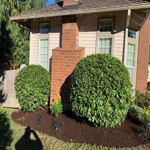 Photos by Verano Landscaping #1