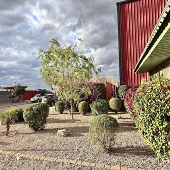 Hernandez Mesquite Landscape Services