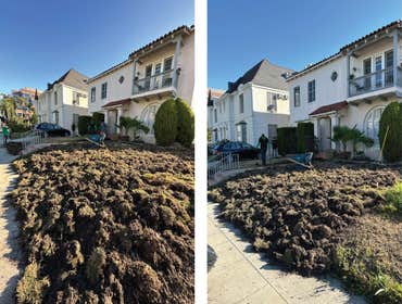 Beautiful landscape project for 3 houses Before & After:
Beautiful landscape project for 3 houses at the same time in LA