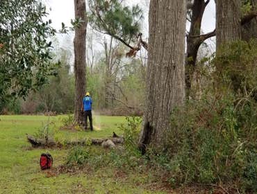 Photos by A&r Tree and Landscaping LLC #1