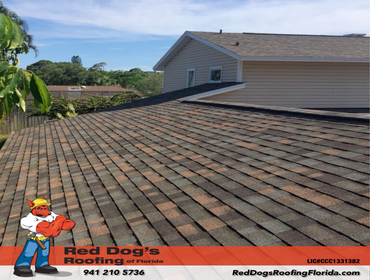 Photos by Red dog's Roofing of Florida #1