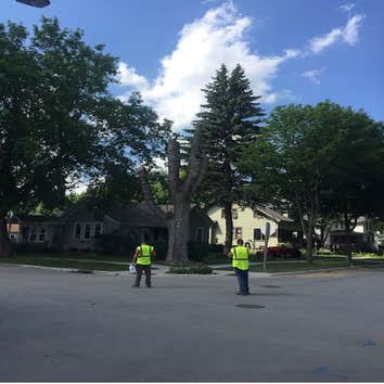 Photos by Green Bay Tree Service #1