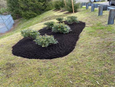 Photos by Sg Gonzalez Landscaping & Maintenance LLC #1