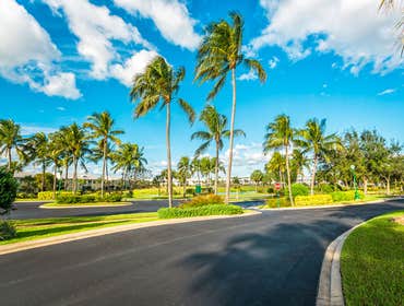 Photos by Palm Beach Asphalt #1