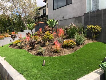 Front Yard and Planting - Woodland Hills