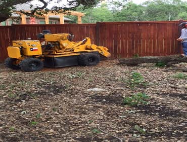 Photos from South Texas Tree of Life Tree S.Tx Tree of Life Tree Service