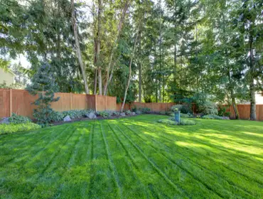 Photos by Chavez Landscaping & Maintenance LLC #1