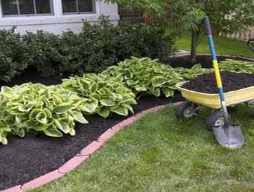 Photos by Joseph Lawncare #1