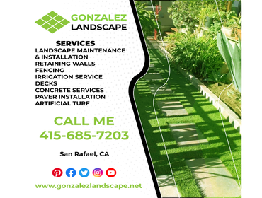 Photos by Gonzalez Landscape #5