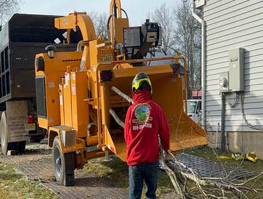 Photos by Green Point Tree Services & Landscaping #19