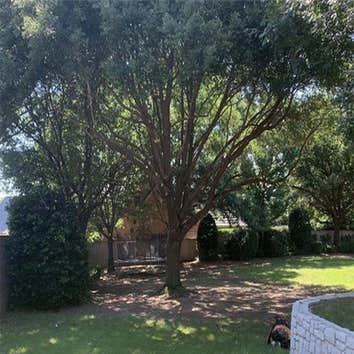 Corinth Tree Service