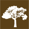 Depiazza & Reed Construction logo