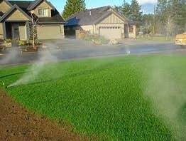 Sprinkler Blowout