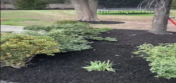 Gonzalez Landscaping Experts LLC