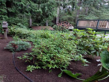 Photos by Sanchez Landscaping LLC #15