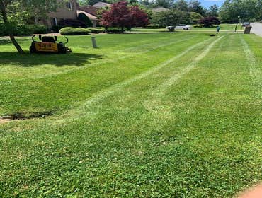 Photos by Cardinal Green Landscaping LLC #1