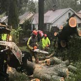 Frady Tree Care