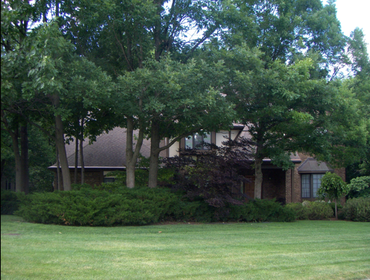 Homes