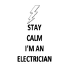 Best Indiana Electrician logo