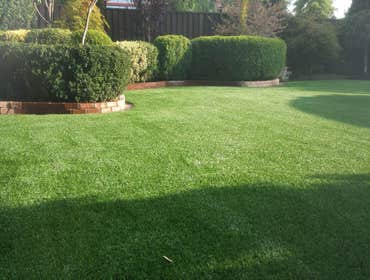 Photos by NorCal Easy Green Synthetic Lawn #1
