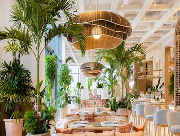 Amal Restaurant and Bar at Coconut Grove