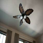 Photo(s) from Advanced Electrical Solutions LLC