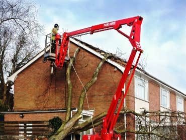 Photos by Mark's Professional Tree Service #1