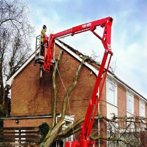 Photos by Mark's Professional Tree Service #1
