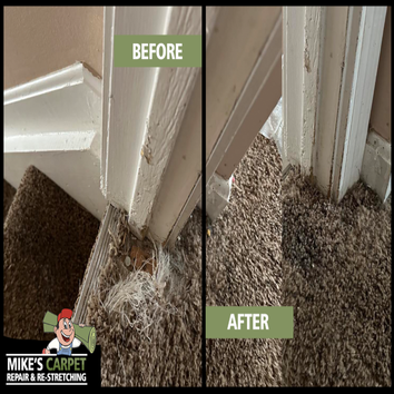 Mikes Carpet Repair & Restretching