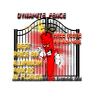 Dynamite Fence LLC logo