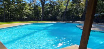 Photos by Lil Duckies Pool Company #1