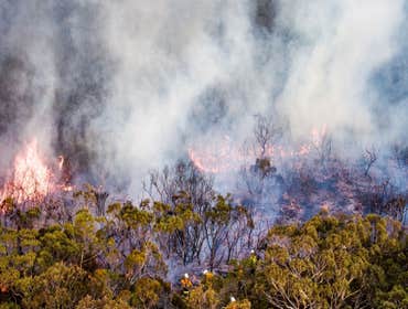Photos by Fourth Gate Smoke Damage Experts #1