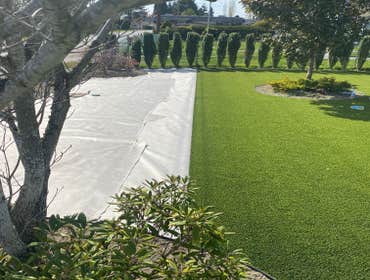 Photos by M Turf LLC #1