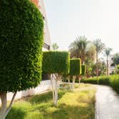 Photos by Top Tree Service Miami #1 tree service Miami , Miami tree service, tree service, tree service fl, fl tree service