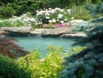 Photos by Re Landscapes Inc #1